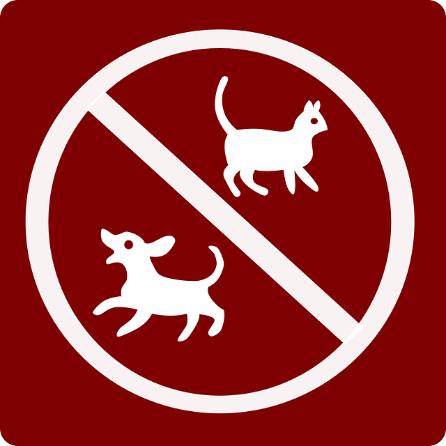 Haustiere nicht erlaubt 